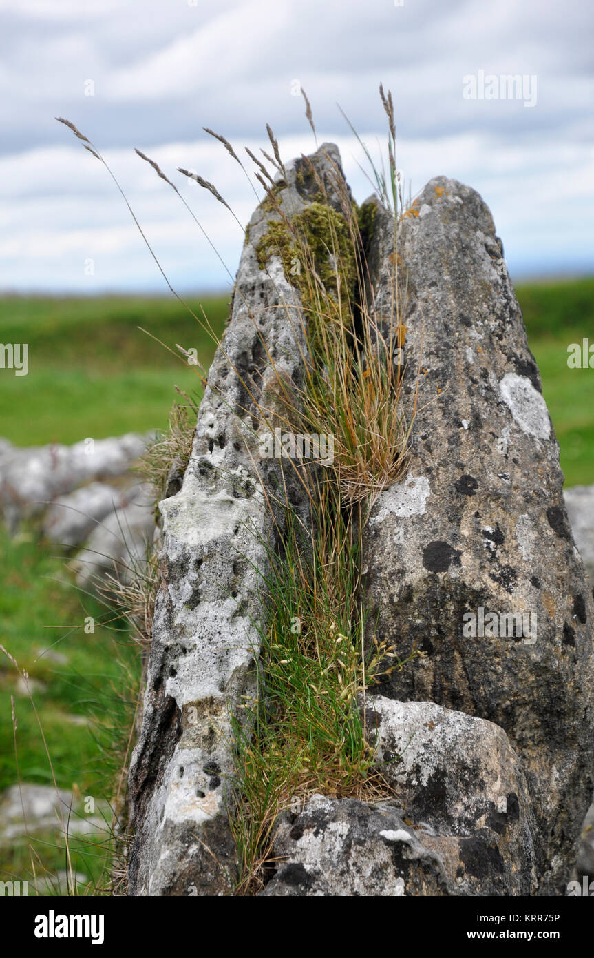 Loughcrew cairns à, comté de Meath, Irlande Banque D'Images