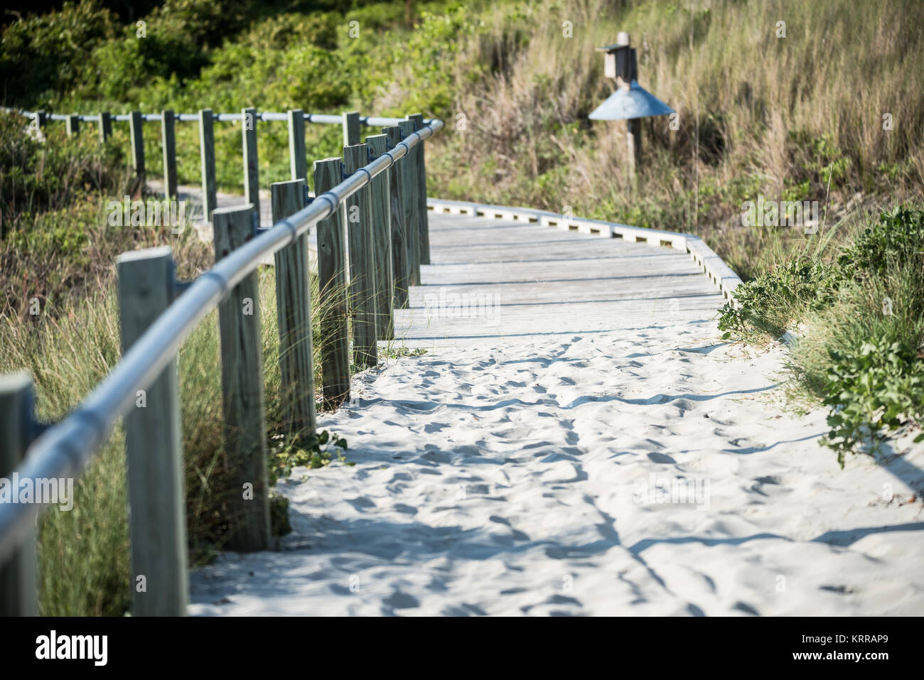 Sullivan's Island Beach Boardwalk Caroline du Sud // SULLIVAN'S ISLAND, Caroline du Sud — Une passerelle en bois s'étend sur des dunes de sable protectrices à Sullivan's Island Beach, offrant un accès tout en préservant le fragile écosystème des dunes. Sullivan's Island, une île barrière située à l'entrée du port de Charleston, comprend environ 3,3 kilomètres de plages connues pour leur caractère naturel et non développé. Le plan de gestion des plages de l'île comprend ces promenades en bois surélevées pour prévenir l'érosion et protéger la végétation indigène. Les plages de Sullivan's Island restent moins commercialisées que les plages voisines Banque D'Images