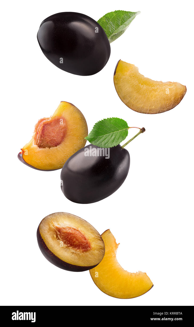 Les prunes isolé sur un fond blanc. Banque D'Images