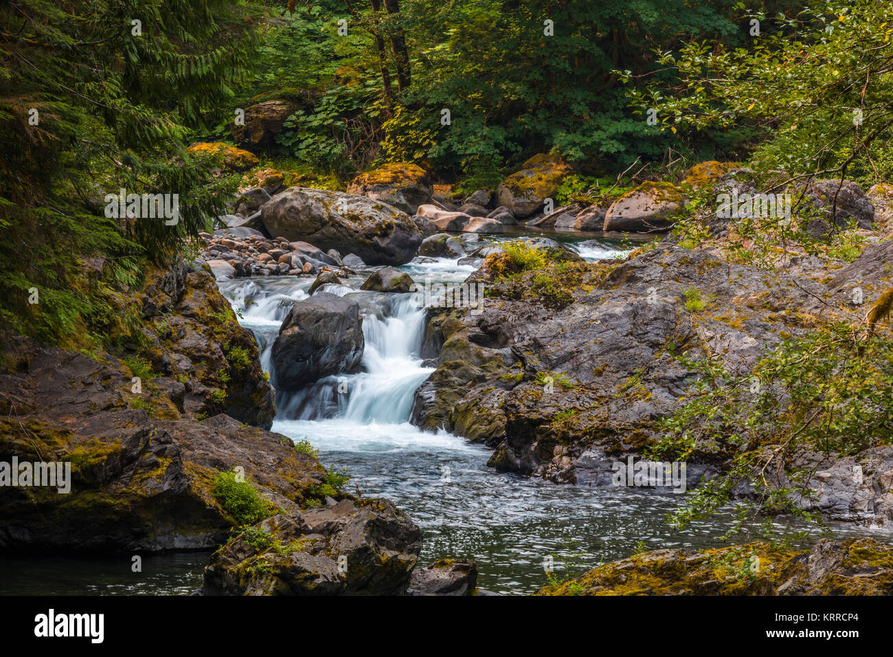 Salmon Cascades en Sol Duc section d'Olympic National Park à Washington, United States Banque D'Images