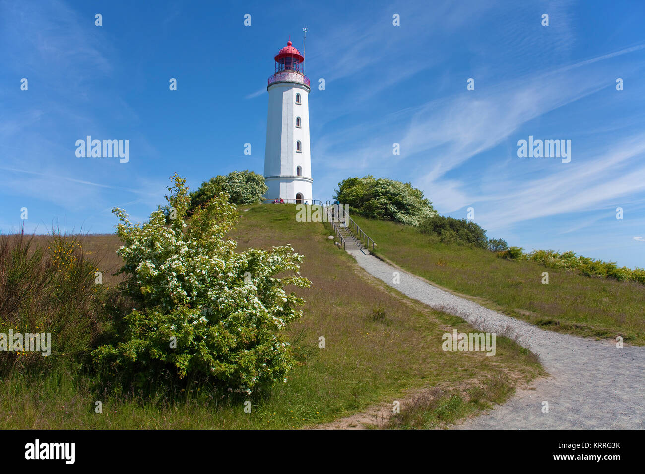 Leuchtturm Dornbusch sur Schluckwiekberg, monument de l'île de Hiddensee, Mecklembourg-Poméranie-Occidentale, de la mer Baltique, l'Allemagne, de l'Europe Banque D'Images