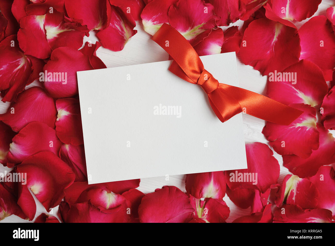 Carte maquette sur le rouge des pétales de rose pour la Saint Valentin. Mise à plat, vue du dessus avec une place pour votre texte. Banque D'Images