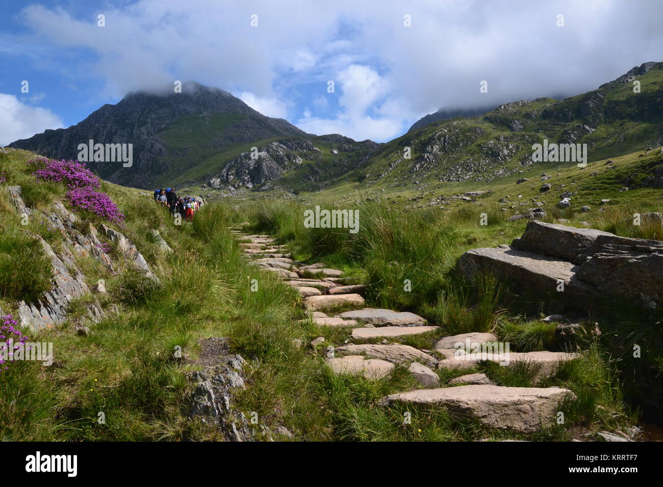 Groupe de marcheurs qui suit le sentier de Llyn Ogwen Tryfan vers Banque D'Images