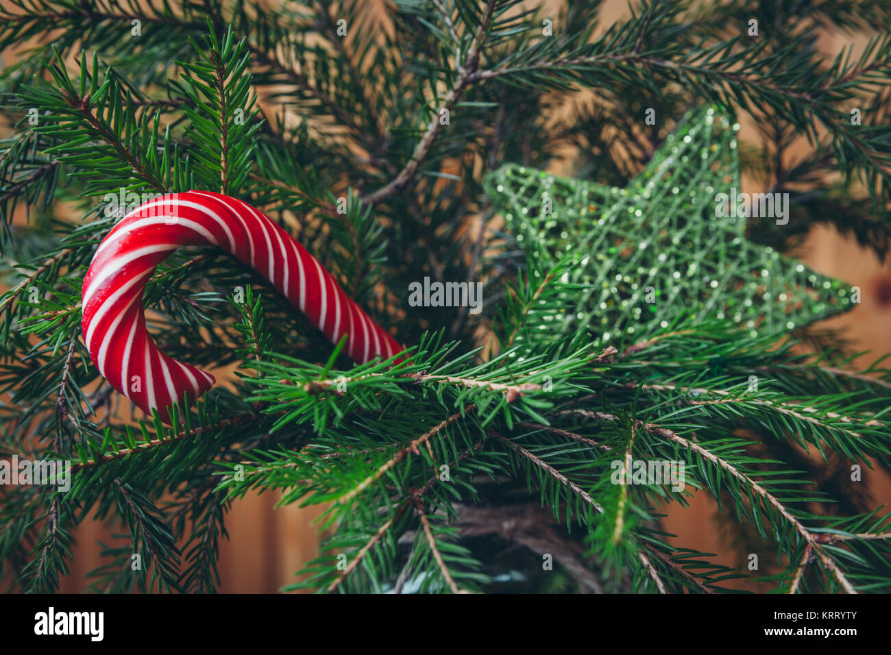 Canne en rouge sur un arbre de Noël naturel vert avec étoile scintillante sur l'arrière-plan Banque D'Images