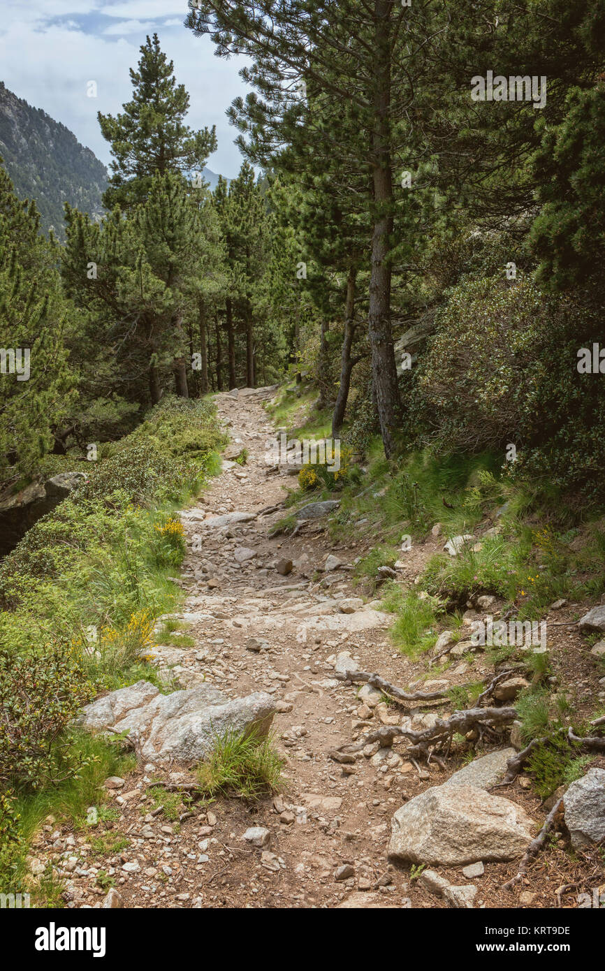 La vally de Vall de Nuria dans les Pyrénées en Catalogne, Espagne Banque D'Images