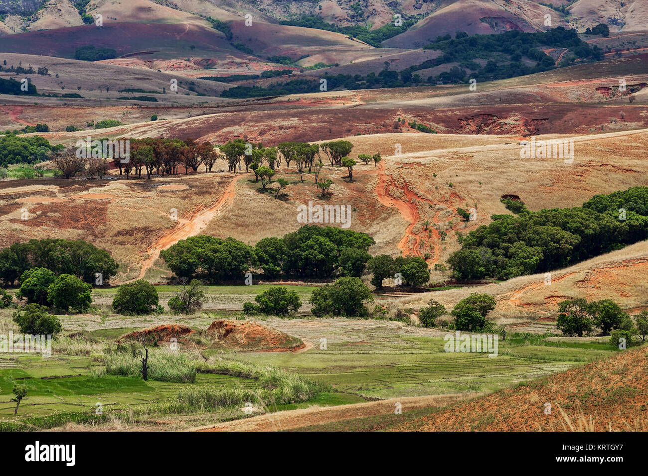 Paysage traditionnel Madagascar hill Banque D'Images