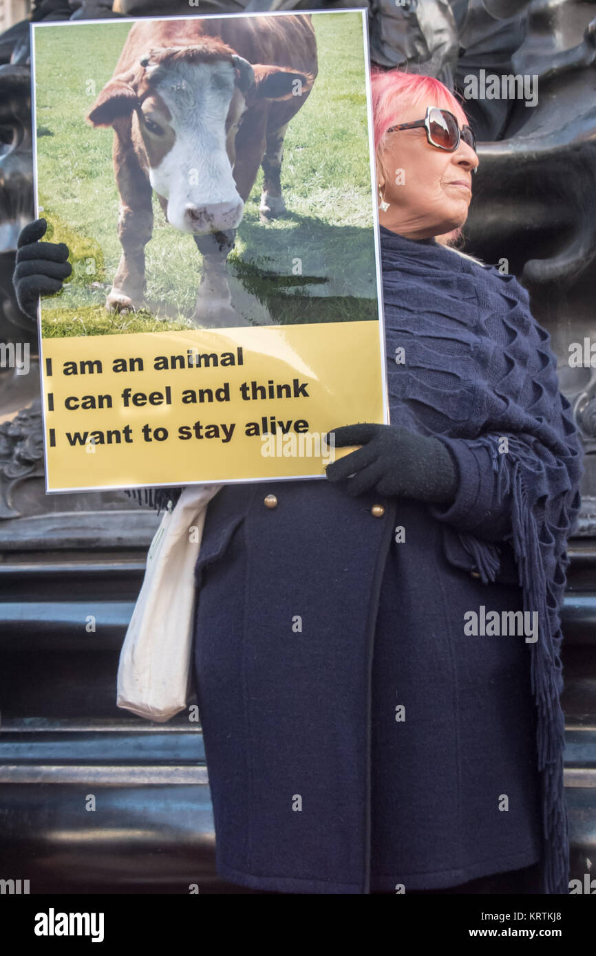 Une femme est titulaire d'un végétalien affiche montrant un veau avec le message 'Je suis animal - je peux sentir et penser - je veux rester en vie" à la base de l'Éros à Piccadilly Circus Banque D'Images