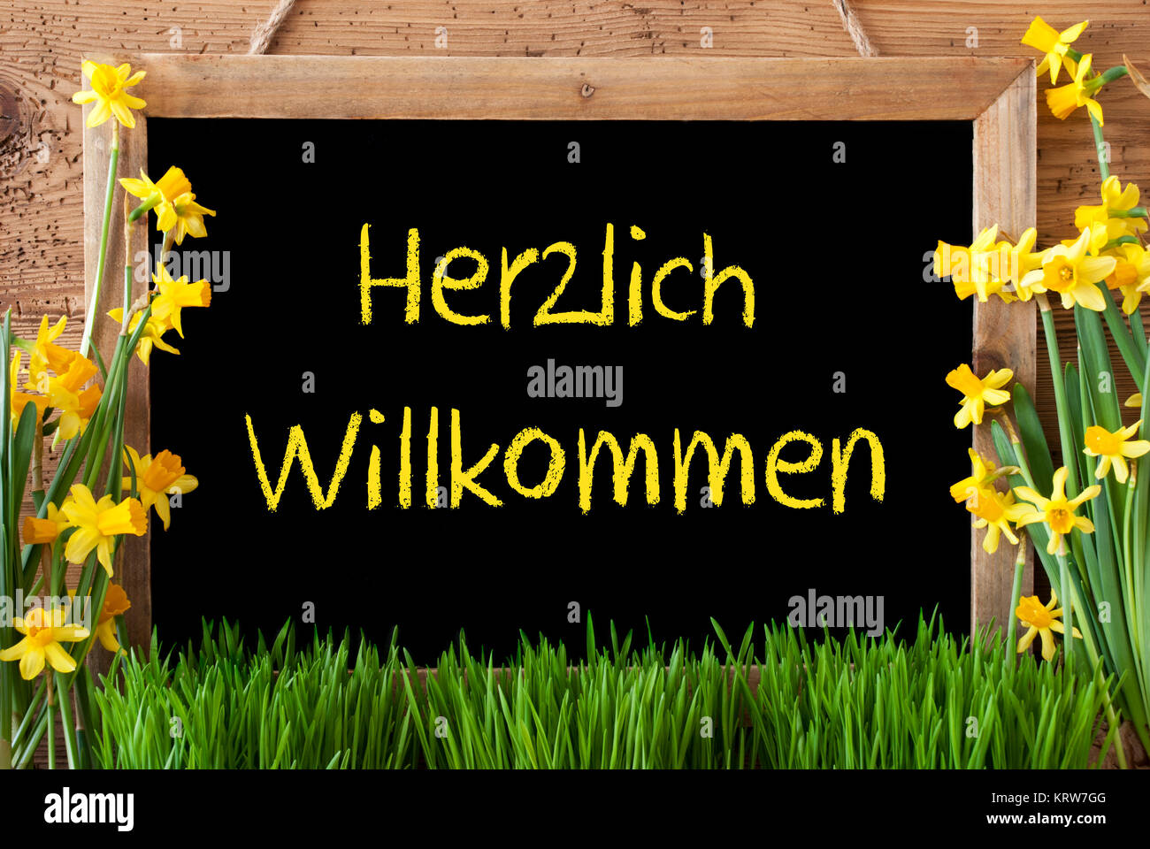 Tableau noir avec texte allemand Herzlich Willkommen signifie bienvenue. Fleurs de Printemps ou Nacissus avec de l'herbe de la jonquille. Fond en bois rustique de. Banque D'Images
