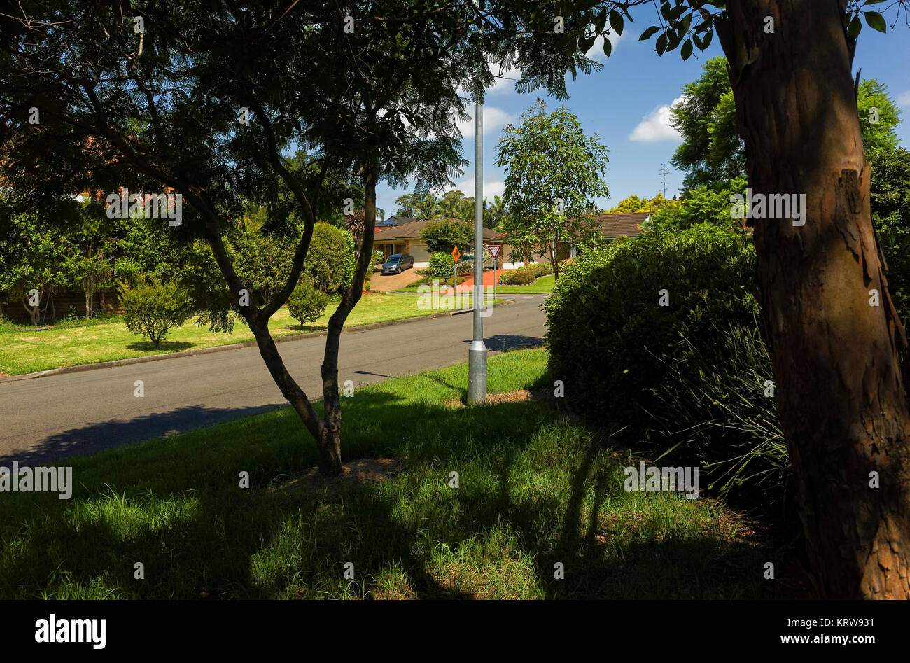 Une rue de banlieue avec maisons typique de classe moyenne à Sydney Australie Banque D'Images