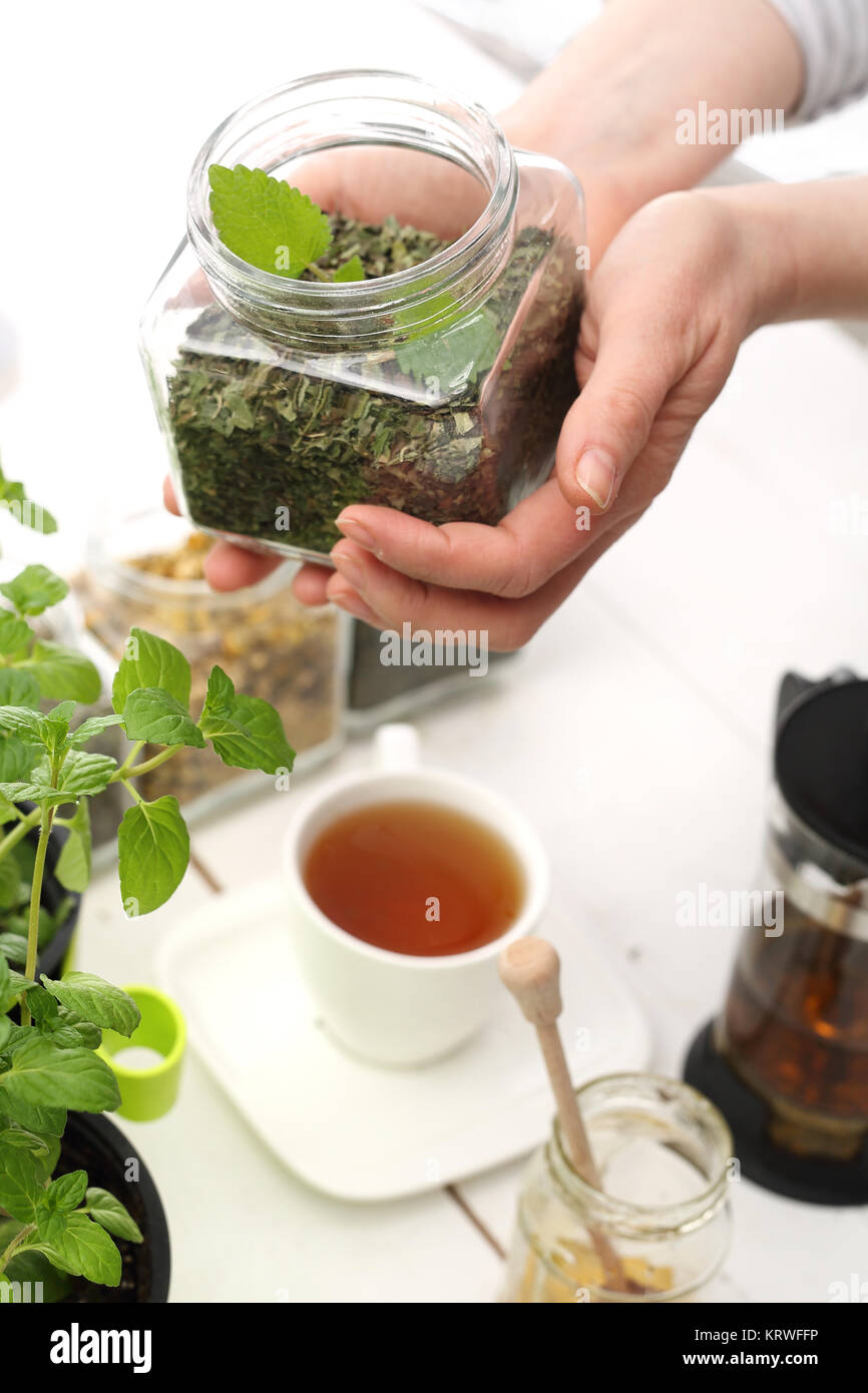 médecine de fines herbes, tisane. Banque D'Images