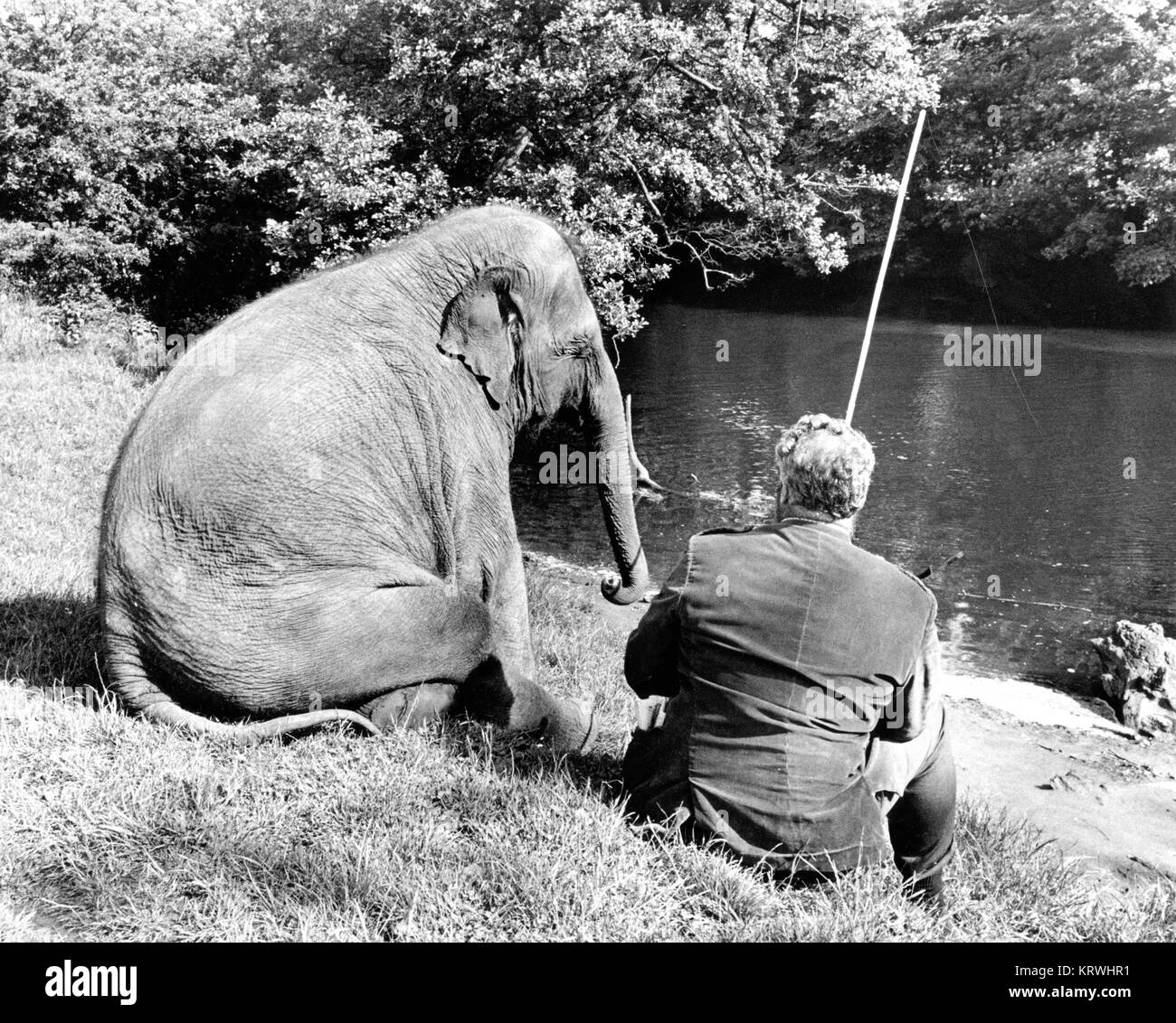 L'éléphant et l'homme s'asseoir ensemble au bord de la rivière et du poisson, en Angleterre, Grande-Bretagne Banque D'Images