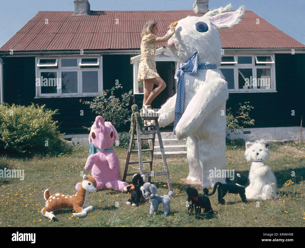 Femme avec des jouets mous, Angleterre, Grande-Bretagne Banque D'Images