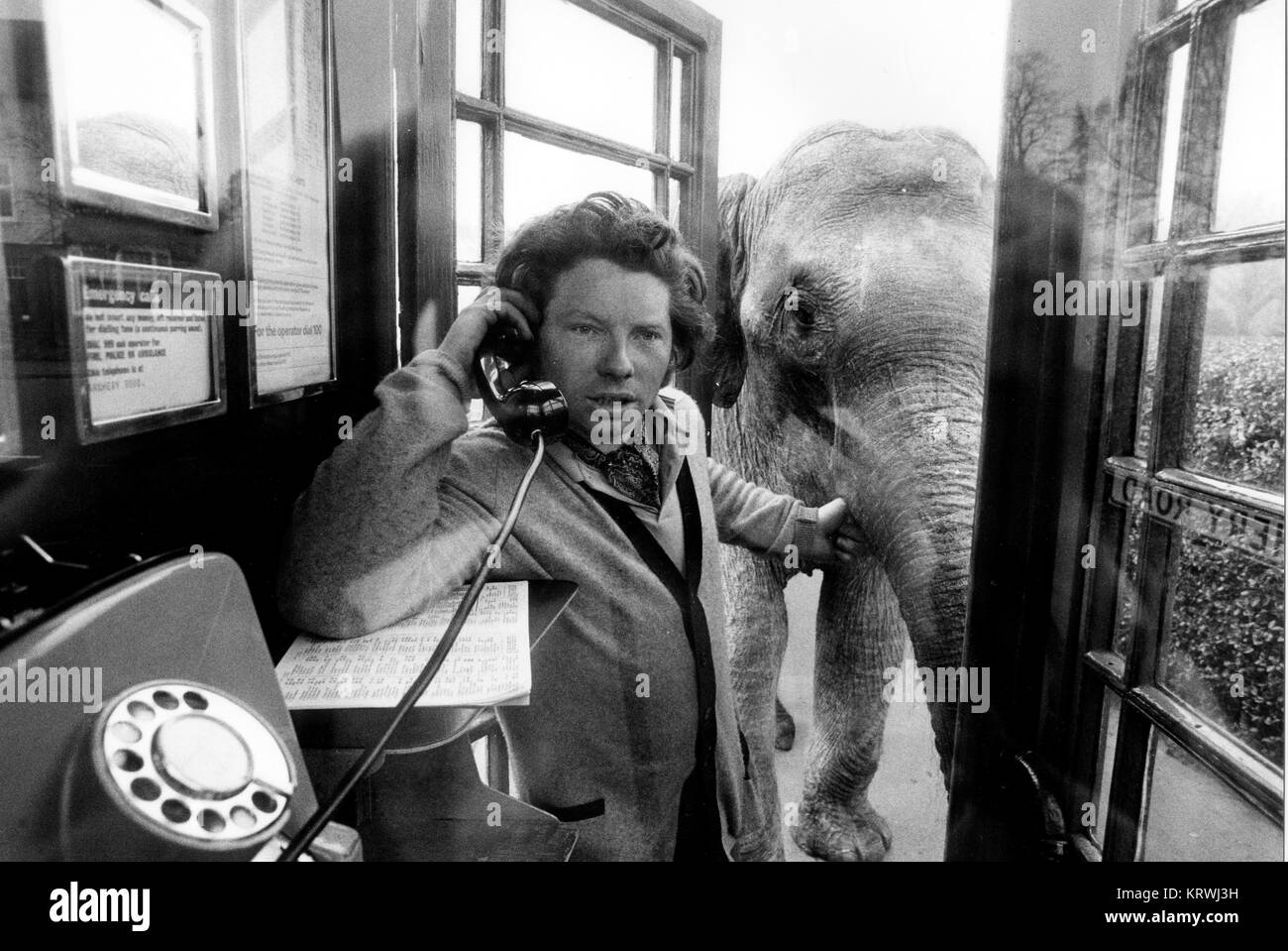 Avec l'homme éléphant dans une cabine téléphonique, Angleterre, Grande-Bretagne Banque D'Images
