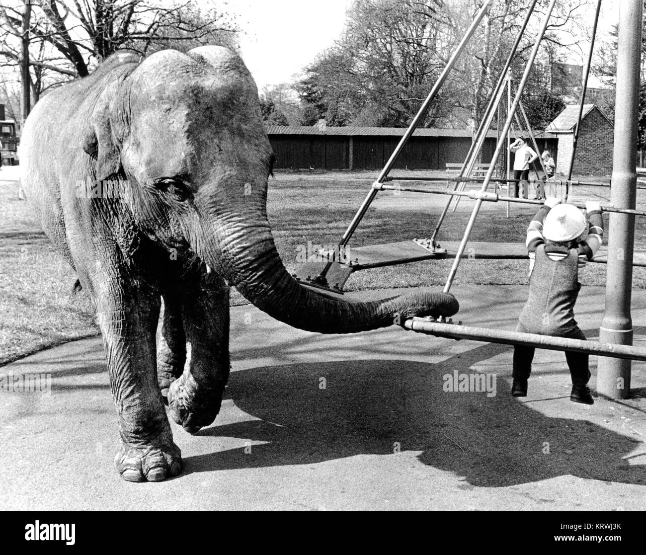 Elephant sur l'aire de jeux pour enfants, en Angleterre, Grande-Bretagne Banque D'Images