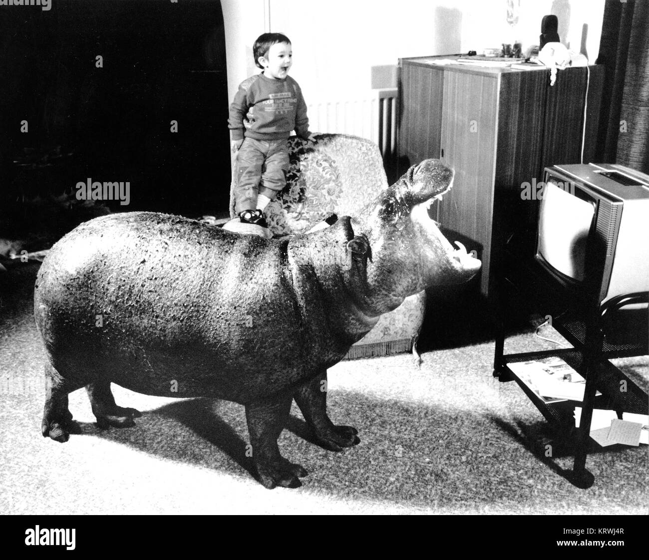 Hippopotamus vous regardez la télévision, Angleterre, Grande-Bretagne Banque D'Images