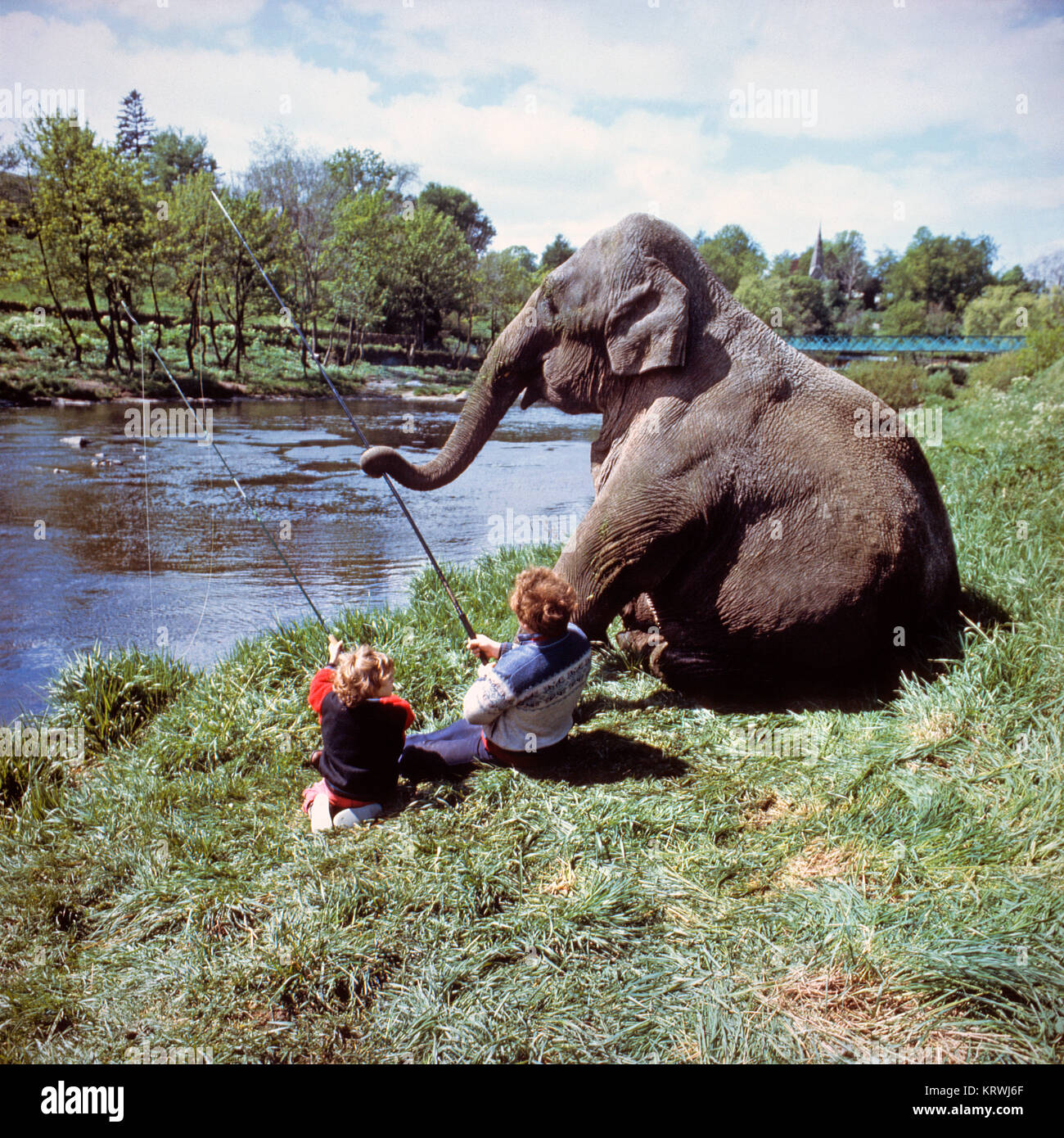 Deux enfants pêcher avec un éléphant sur la rivière, Angleterre, Grande-Bretagne Banque D'Images