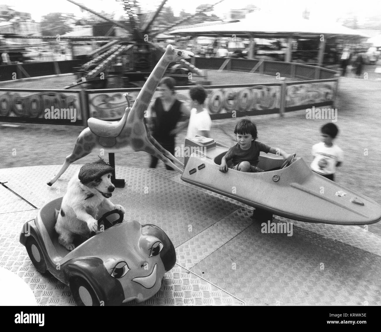 Garçon et Jack Russell ride un carrousel, Angleterre, Grande-Bretagne Banque D'Images