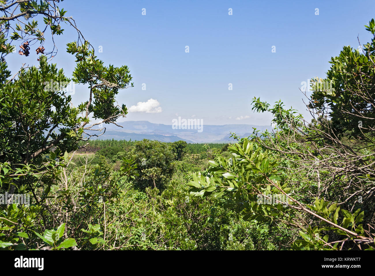 Vue depuis la fenêtre de Dieu le long du Blyde River Canyon, Mpumalanga, Afrique du Sud Banque D'Images Vue depuis la fenêtre de Dieu le long du Blyde River Canyon, Mpumalanga, Afrique du Sud Banque D'Images