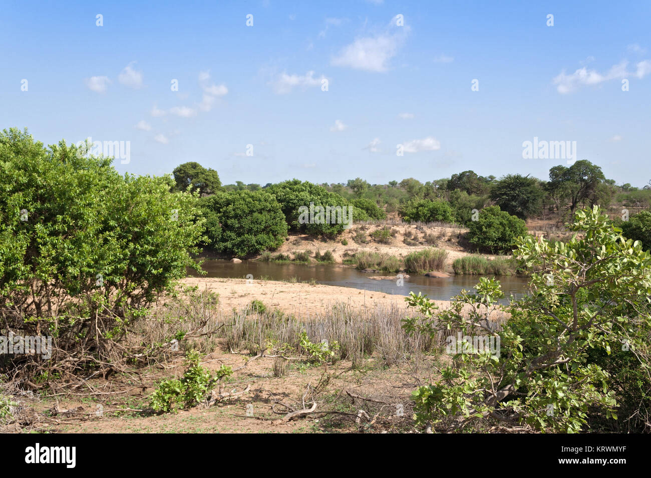 La rivière Sabie dans le Parc National Kruger, Afrique du Sud Banque D'Images La rivière Sabie dans le Parc National Kruger, Afrique du Sud Banque D'Images