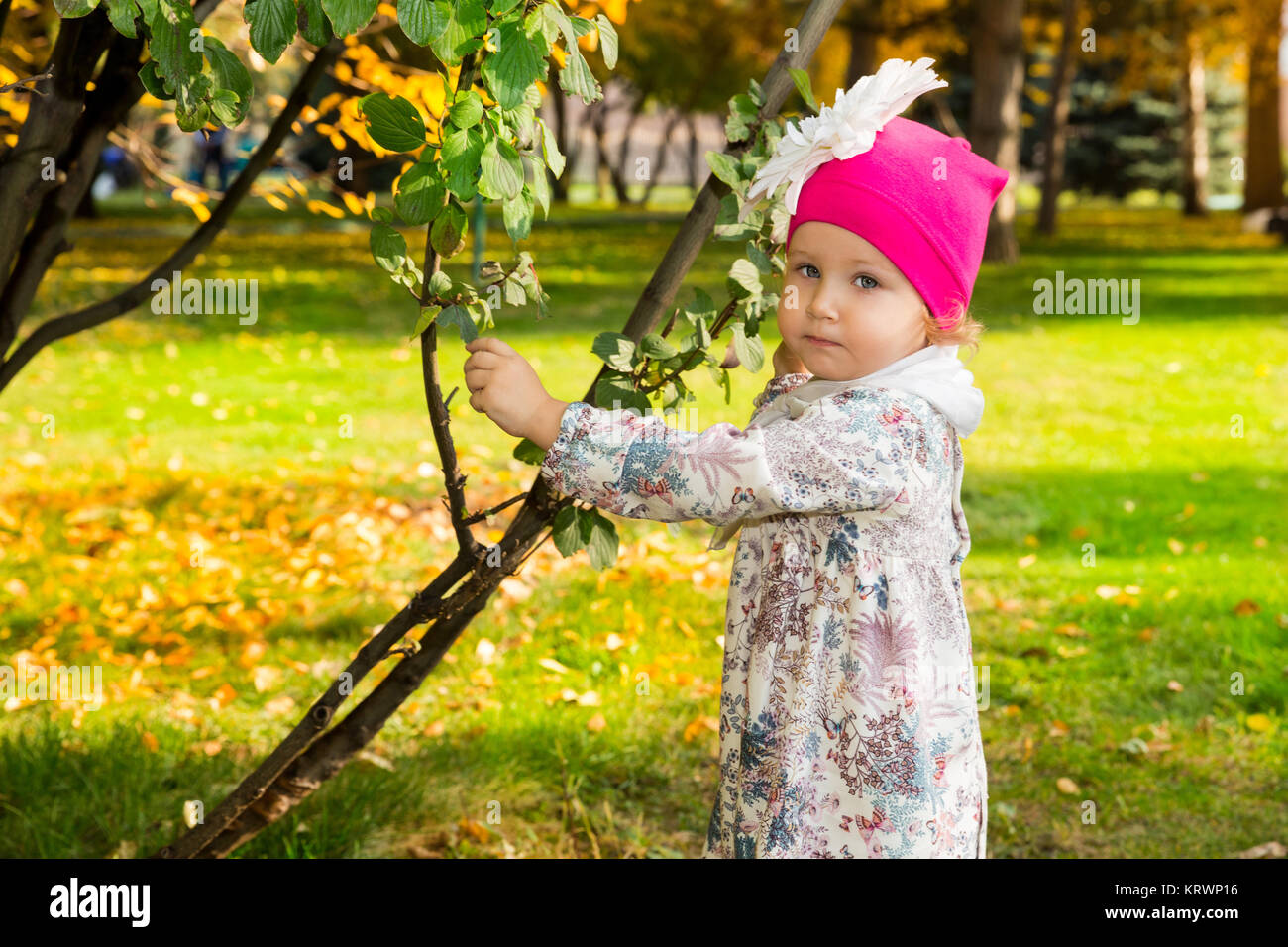 Portrait d'automne de la belle enfant. Happy little girl avec des feuilles dans le parc en automne. Banque D'Images