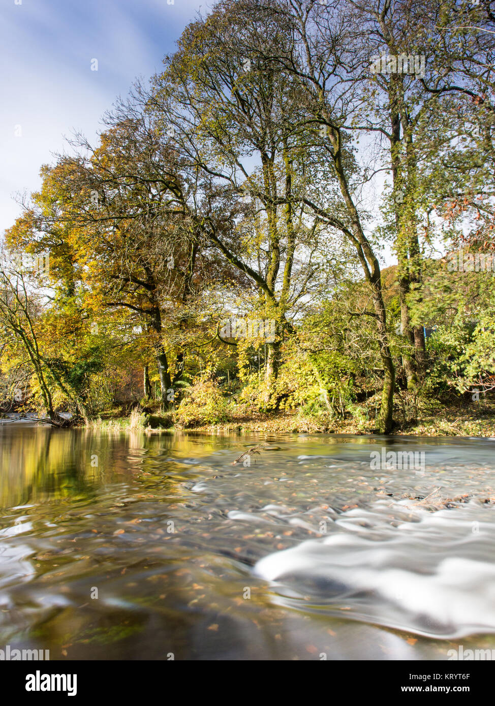 La rivière Brathay ruisseau de montagne passe par woodland rempli de couleurs de l'automne près de Reading en Angleterre's Lake District National Park. Banque D'Images