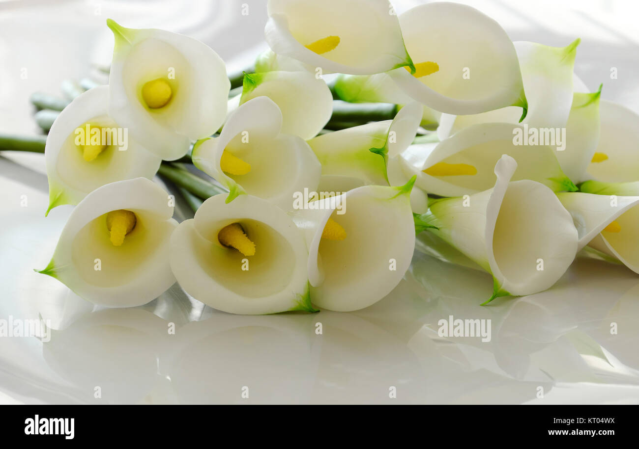 Bouquet d'arum de sur fond blanc, blanc fleur d'argile avec des étamines jaunes, des œuvres d'art d'argile Banque D'Images