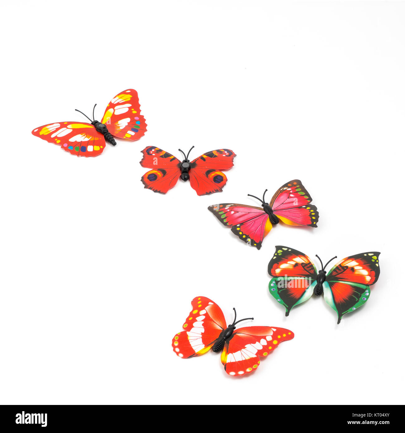 Papillons décoratifs sur un fond coloré Banque D'Images