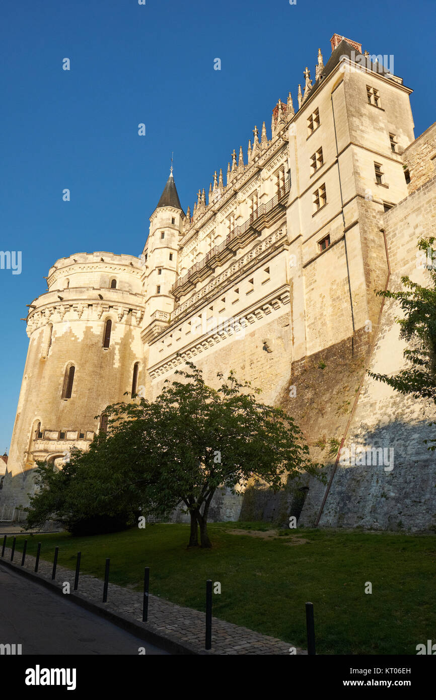 Chateau d'Amboise dans la vallée de la Loire France Banque D'Images