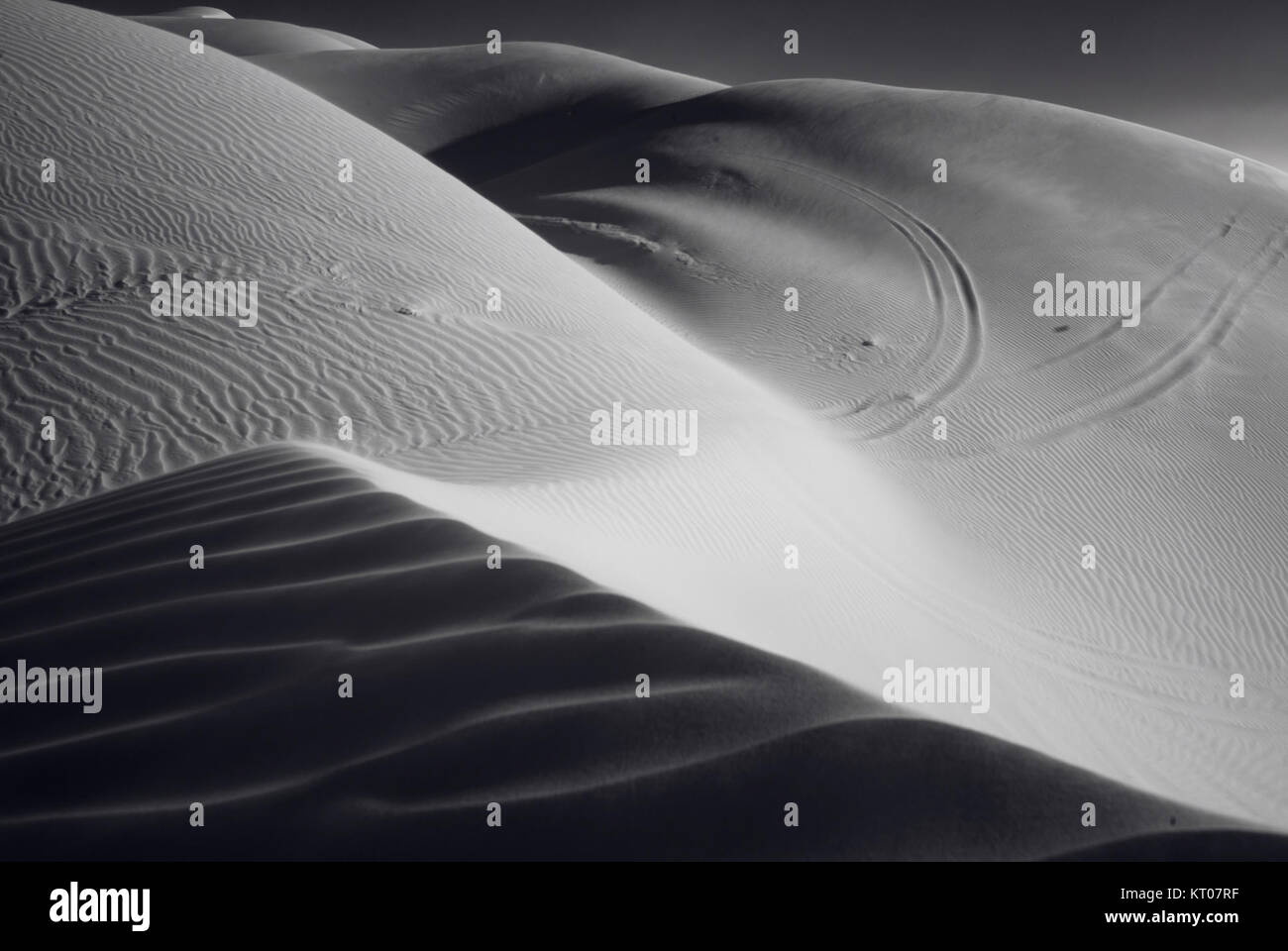 Cette photographie en noir et blanc capture l'immensité des dunes du désert, mettant en valeur la beauté austère et minimaliste du paysage aride. Banque D'Images
