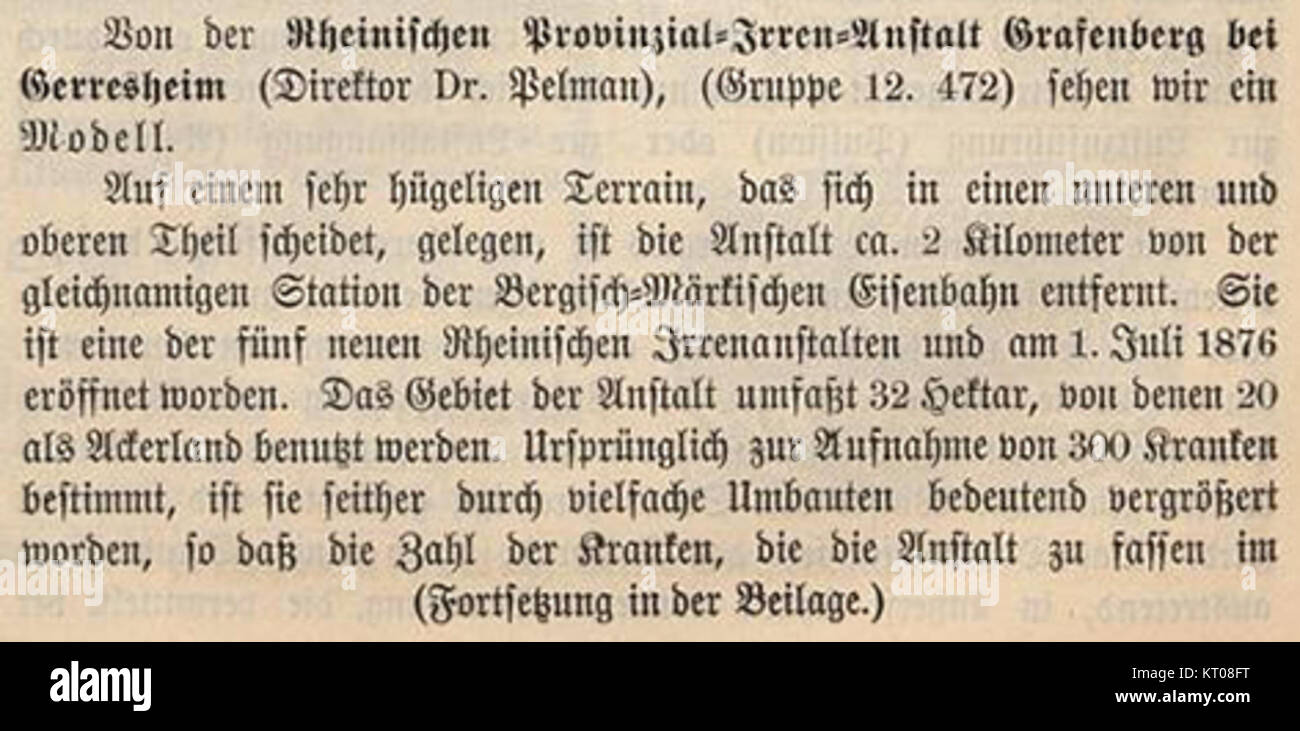 Artikel Von der Rheinischen Provinzial-Irren-Anstalt bei Grafenberg Gerresheim (Direktor Dr. Pelmann Hygiene-Ausstellungs-Zeitung) en octobre 1883 Bureau d'enfant28093Nr. 74 Teil 1 Banque D'Images
