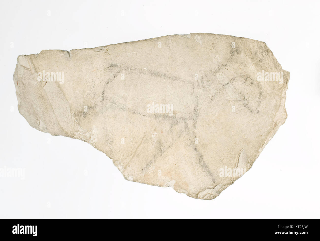 Ce croquis, qui fait partie de la collection du Metropolitan Museum of Art, représente un cheval, mettant en valeur l’intérêt de l’artiste pour l’anatomie et le mouvement des animaux. Il représente une exploration de la forme in compris Banque D'Images