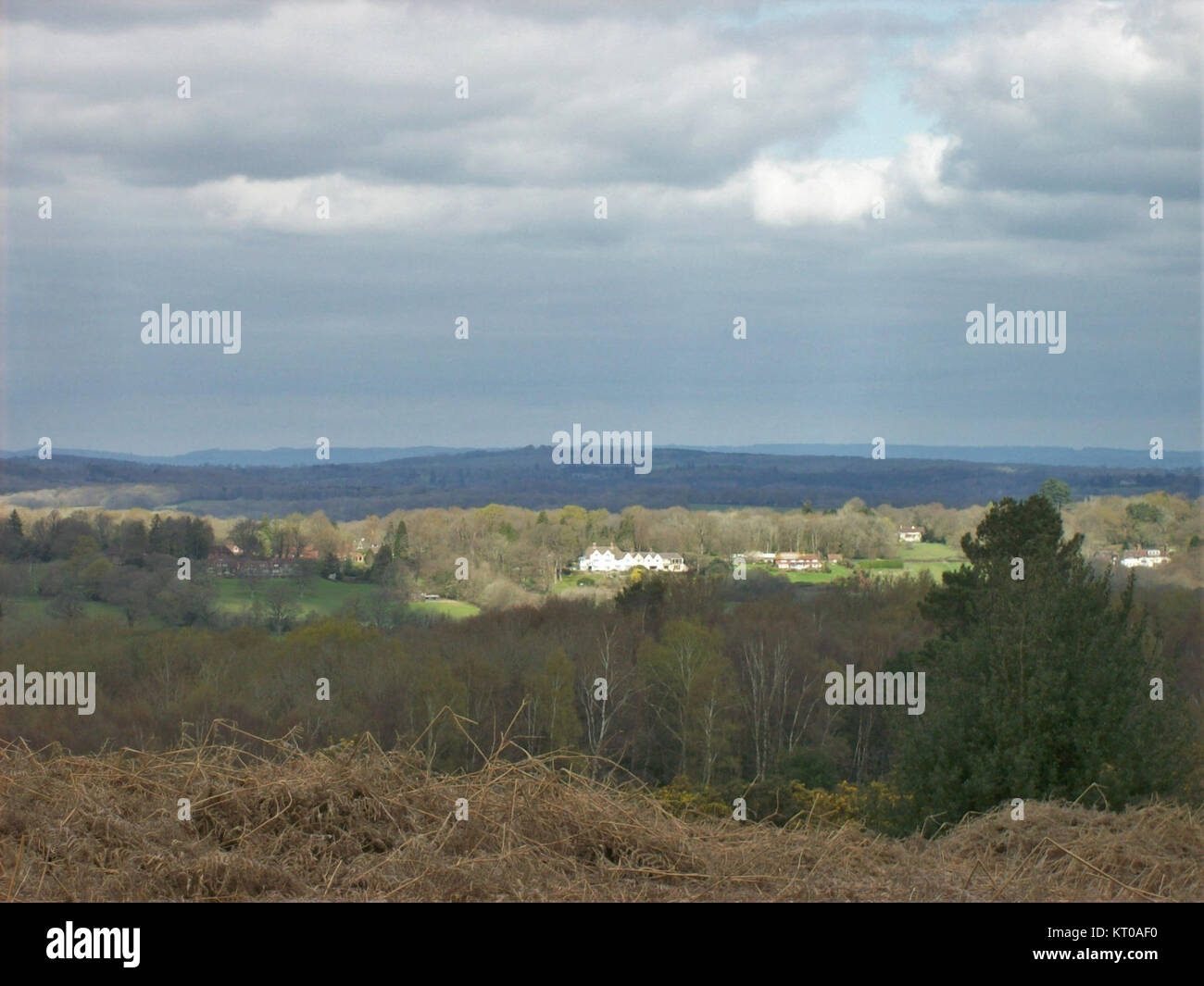 Ashdown Forest, situé dans le Sussex de l'est, en Angleterre, est une zone de beauté naturelle exceptionnelle. La forêt est connue pour sa faune diversifiée, ses paysages naturels et son importance historique, ainsi que pour avoir inspiré les histoires *Winnie the Ourson* de A.A. Milne. Banque D'Images