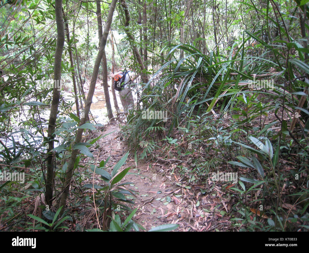 Asia Express est un titre associé à un événement médiatique ou de divertissement, potentiellement lié à un spectacle de voyage ou d'exploration culturelle. L'image capture un moment lié à l'événement ou à la production Asia Express. Banque D'Images