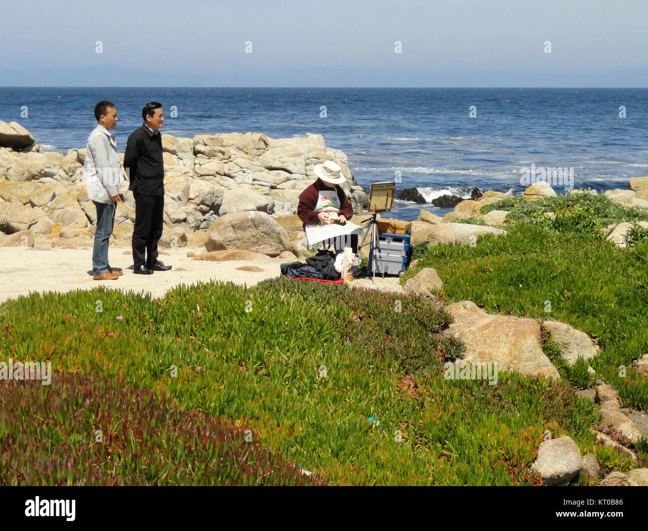 Asilomar State Beach, situé le long de la côte centrale de la Californie, est connu pour sa beauté pittoresque, ses rives sablonneuses et son littoral accidenté. La plage offre un endroit populaire pour la marche, l'observation de la nature et profiter de la vue sur la côte. Banque D'Images