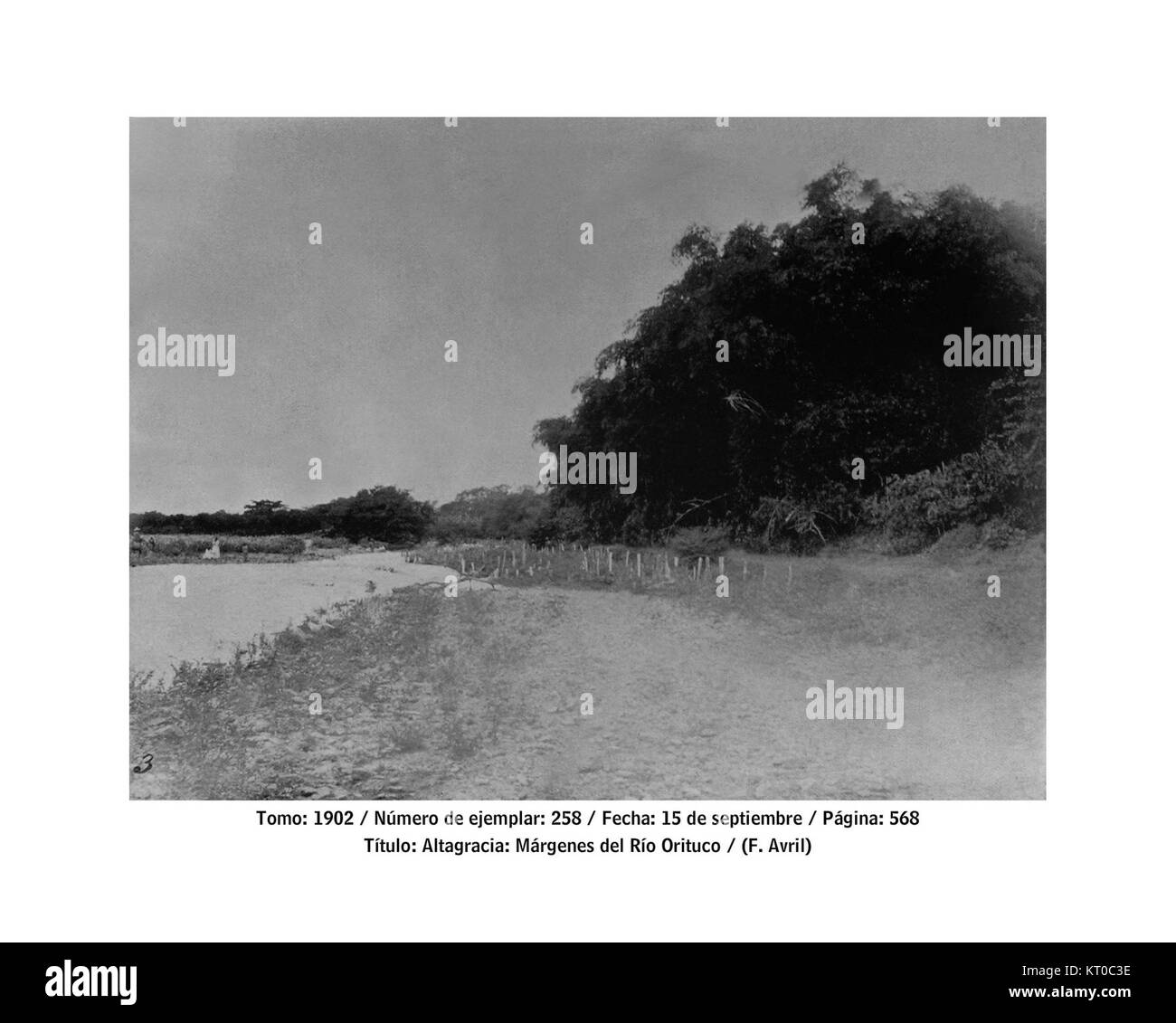 Atagracia est une localité située près de la rivière Orituco au Venezuela. La région est connue pour son environnement naturel, y compris la proximité de la rivière, et sert de plaque tournante communautaire pour les activités locales. Banque D'Images