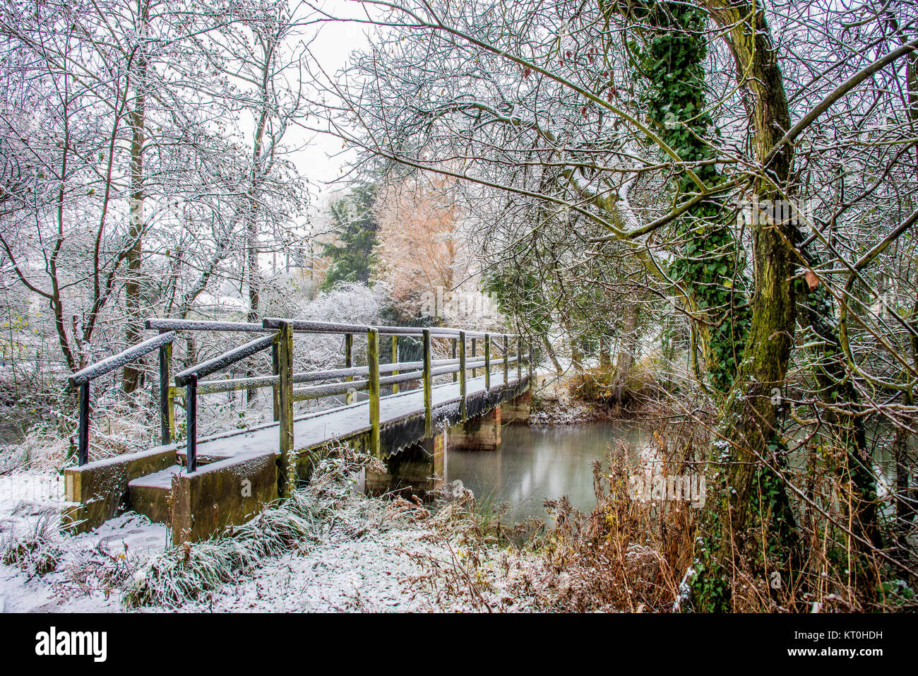 Première neige dans les bois dans le Suffolk avec la passerelle à la belle Banque D'Images