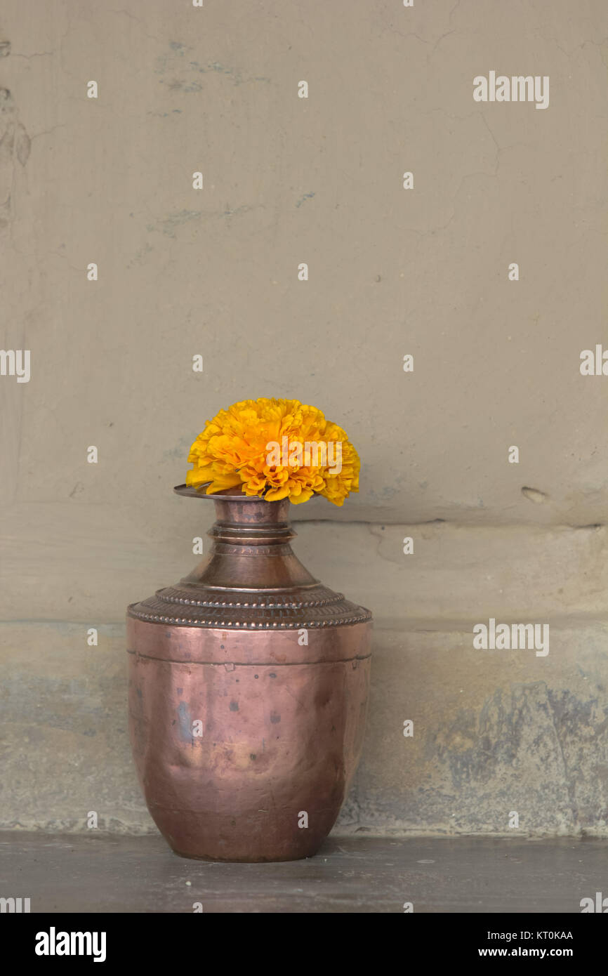 Avec pot Marigold Banque D'Images