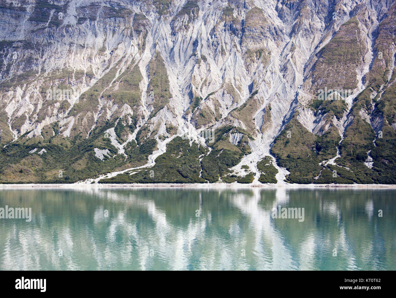 Glacier Bay Shore Banque D'Images