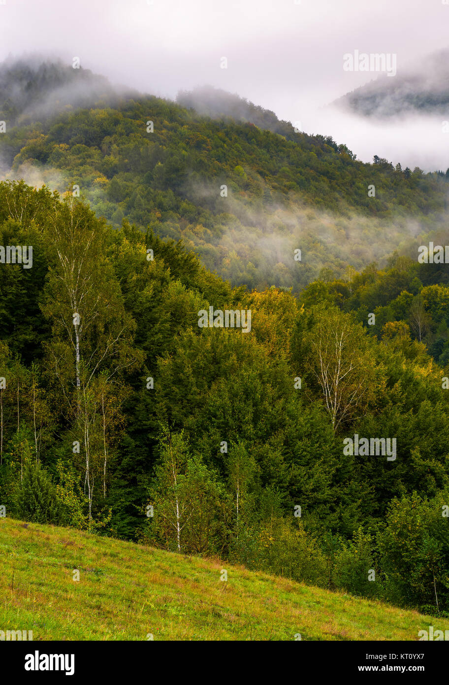 Le brouillard et les nuages bas sur les montagnes boisées dans un paysage mystérieux. automne profonde Banque D'Images