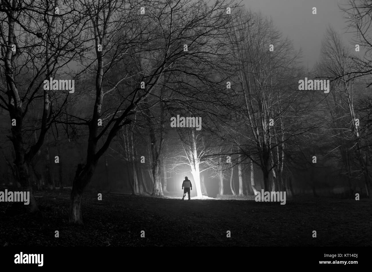 Silhouette dans une étrange forêt spooky sombre la nuit, paysage mystique avec feux surréaliste man creepy Banque D'Images