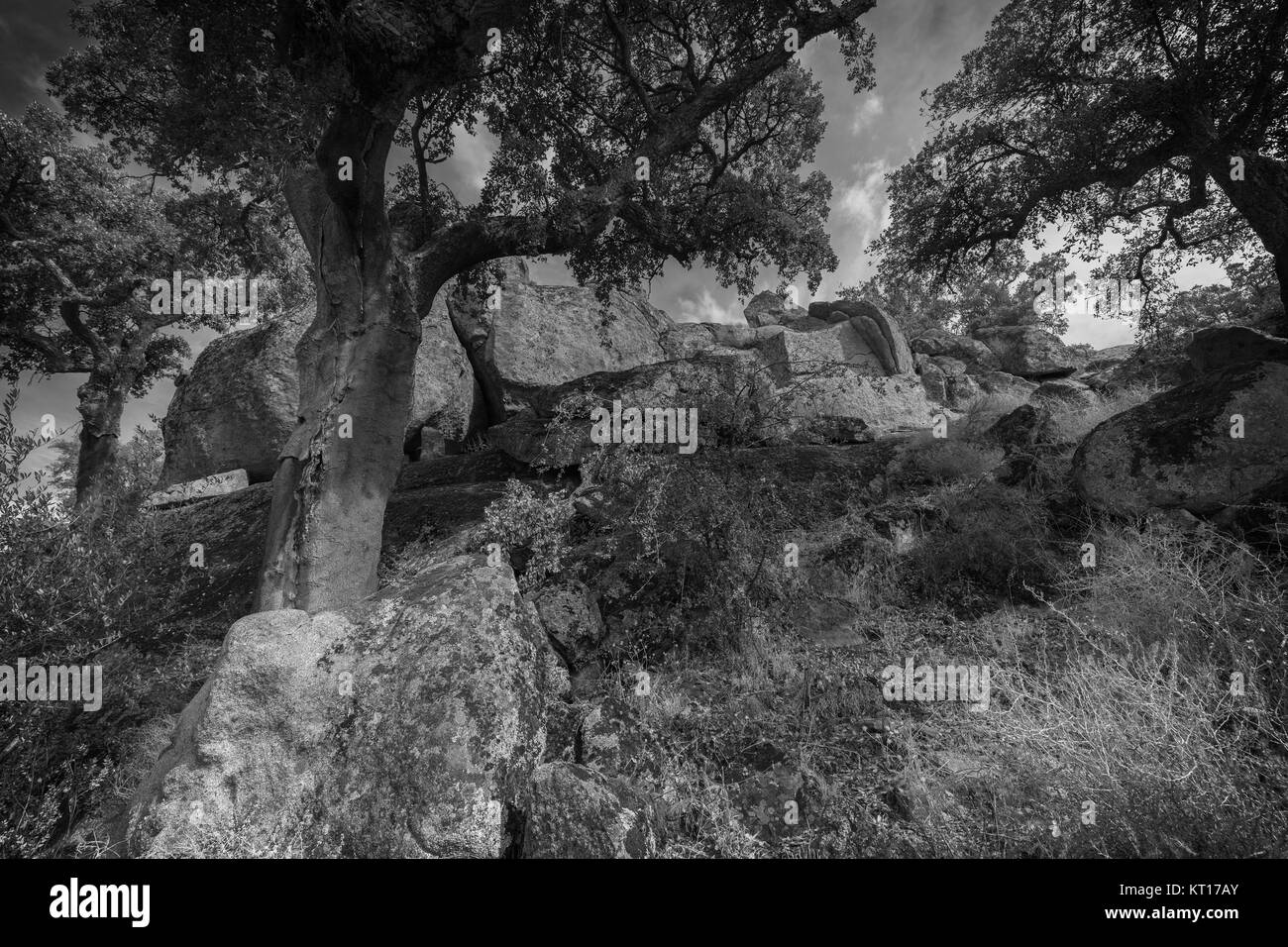 Paysage dans la zone naturelle d'Valcorchero, près de Plasencia. L'Estrémadure. L'Espagne. Banque D'Images