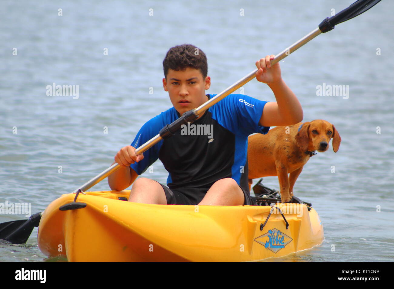 Un garçon et un chien dans un canot Banque D'Images