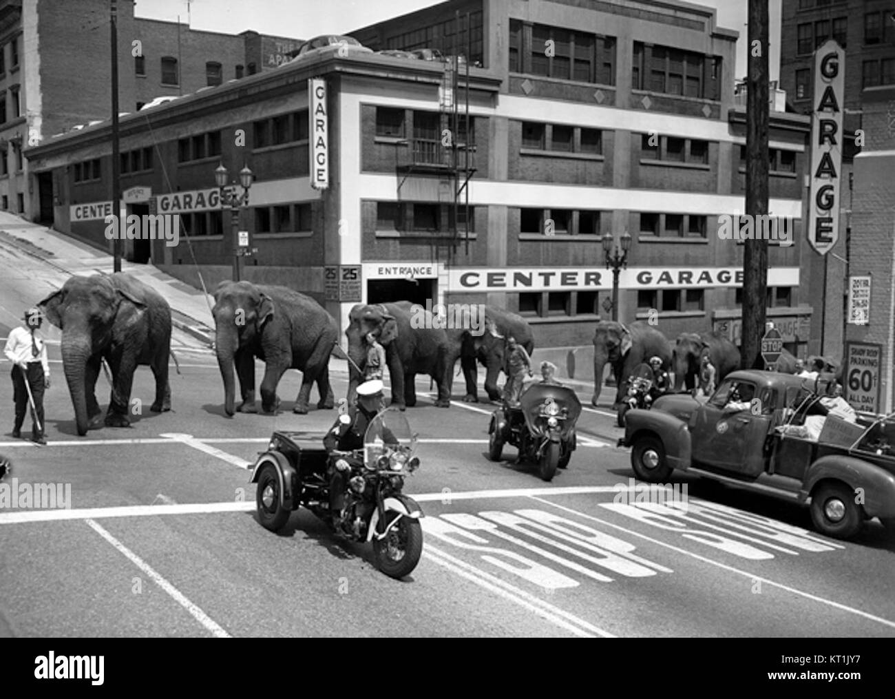 L'image montre des éléphants de cirque se produisant à Los Angeles. Les éléphants font partie d'un cirque itinérant, mettant en valeur leurs compétences et faisant partie de l'industrie du divertissement. La performance met en valeur l'entraînement des animaux et l'art du cirque. Banque D'Images