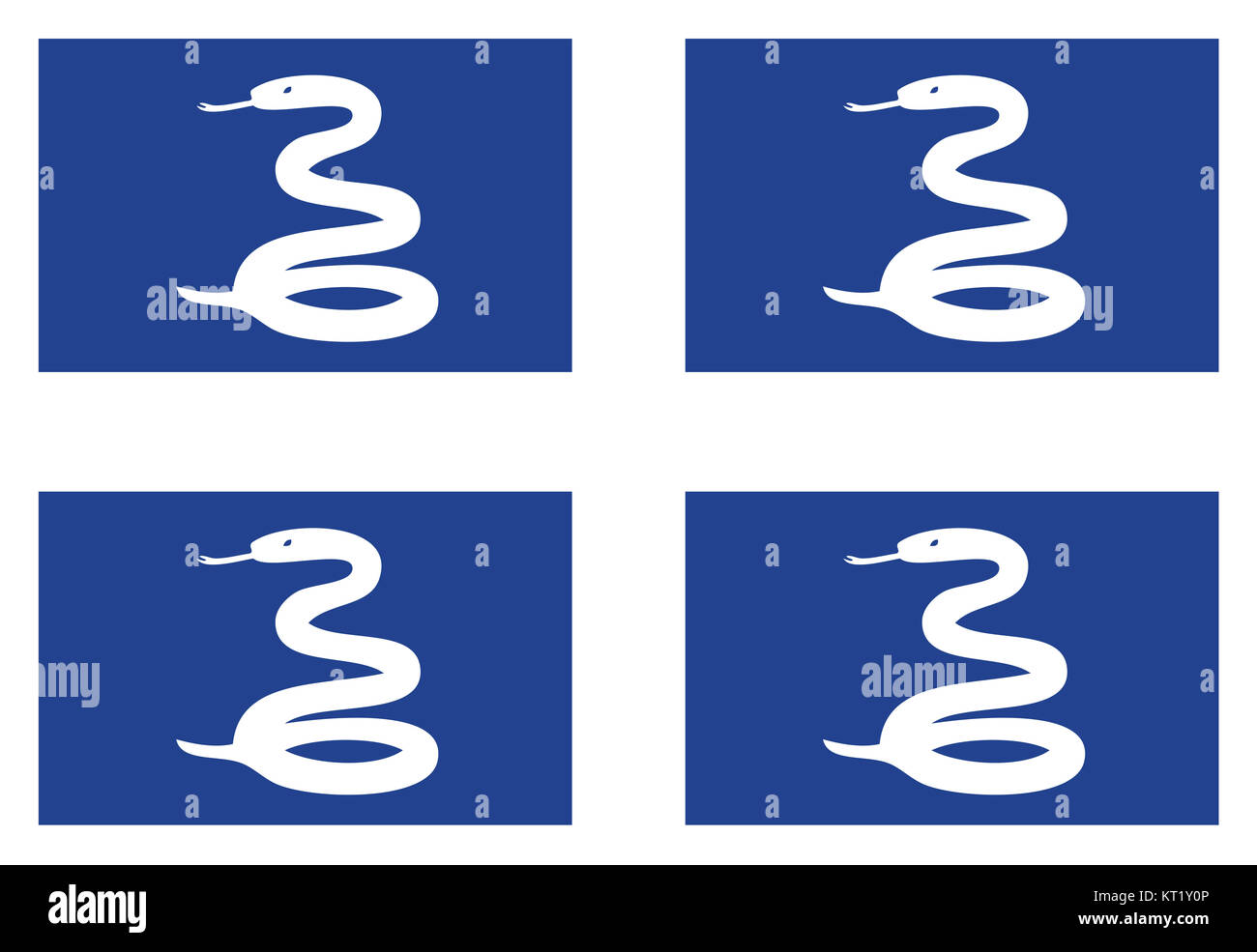 Drapeau national de la Martinique Banque D'Images