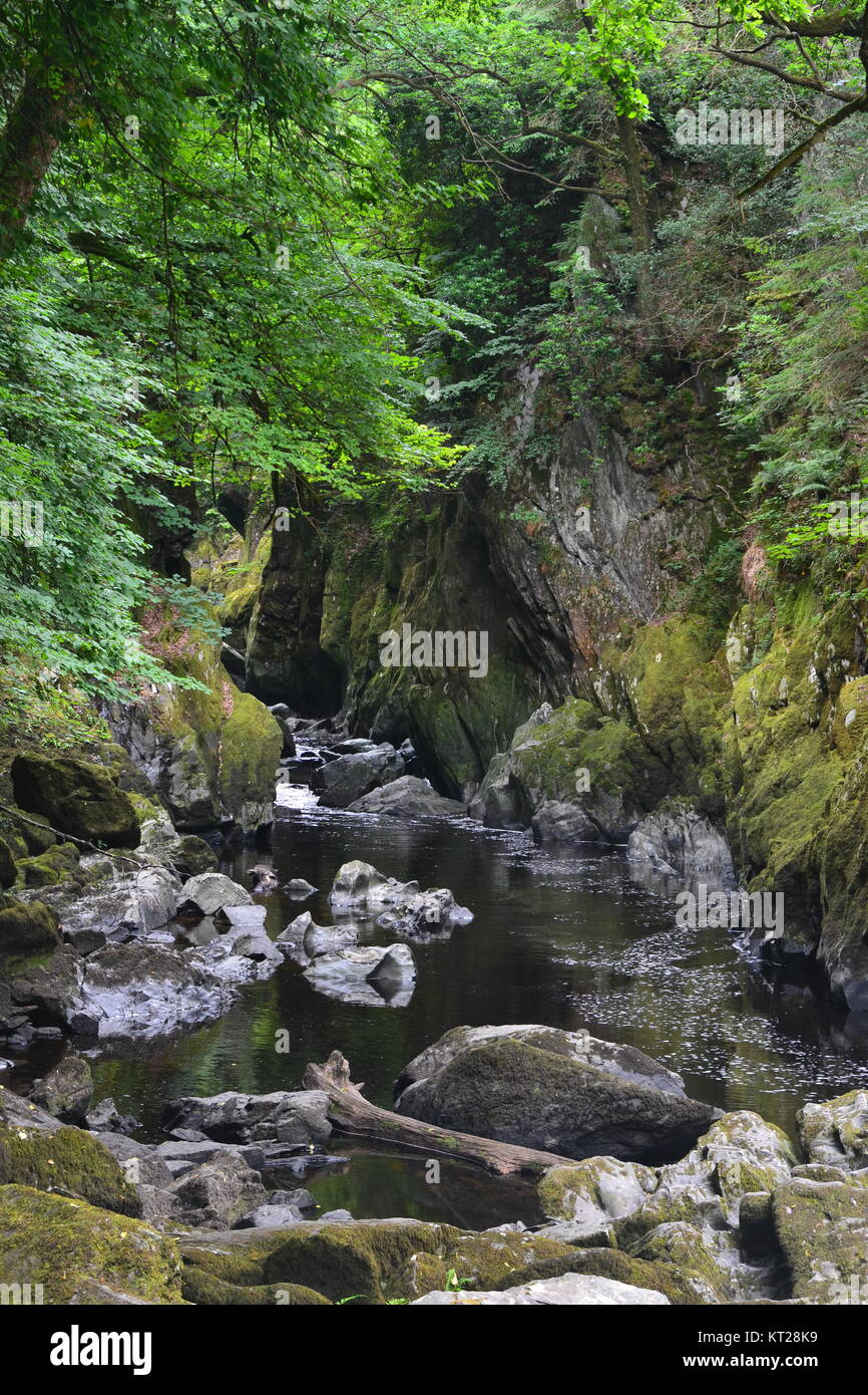 Gorge Fairy Glen, Betws-Y-coed, vallée de Conwy, Galles, Royaume-Uni Banque D'Images