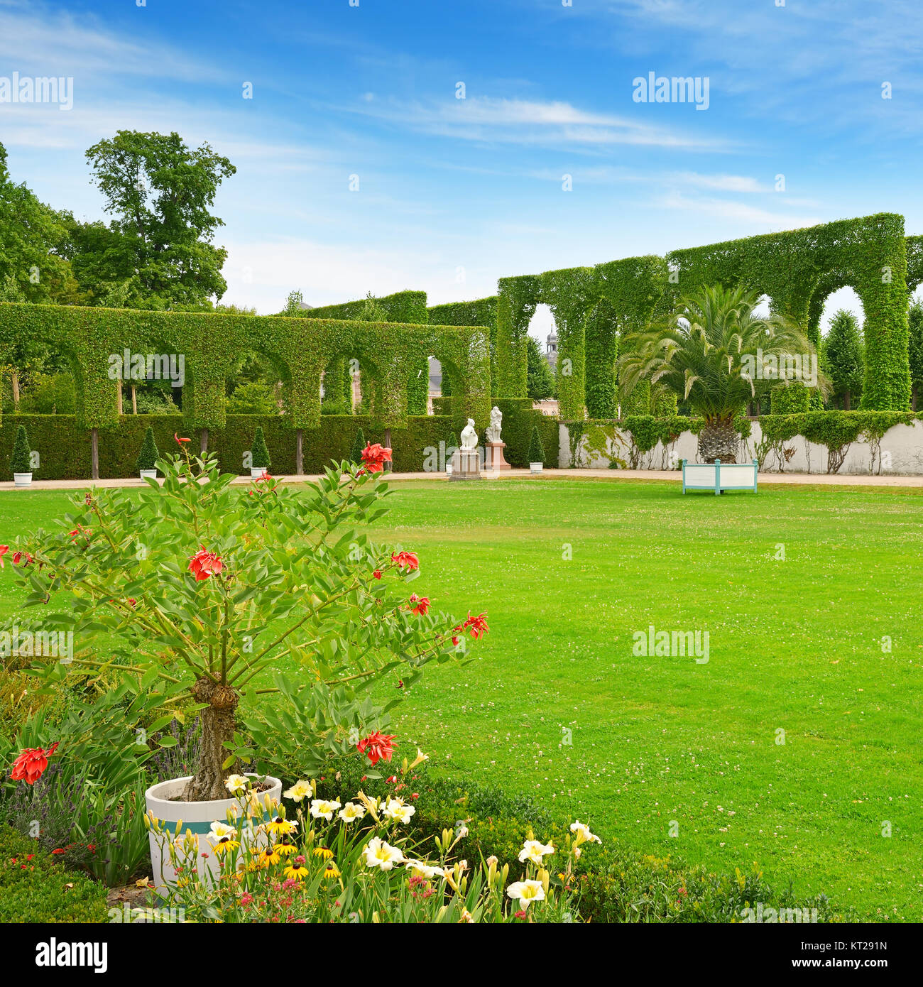 Belle Glade dans le parc historique de la ville de Schwetzingen, Allemagne. Banque D'Images