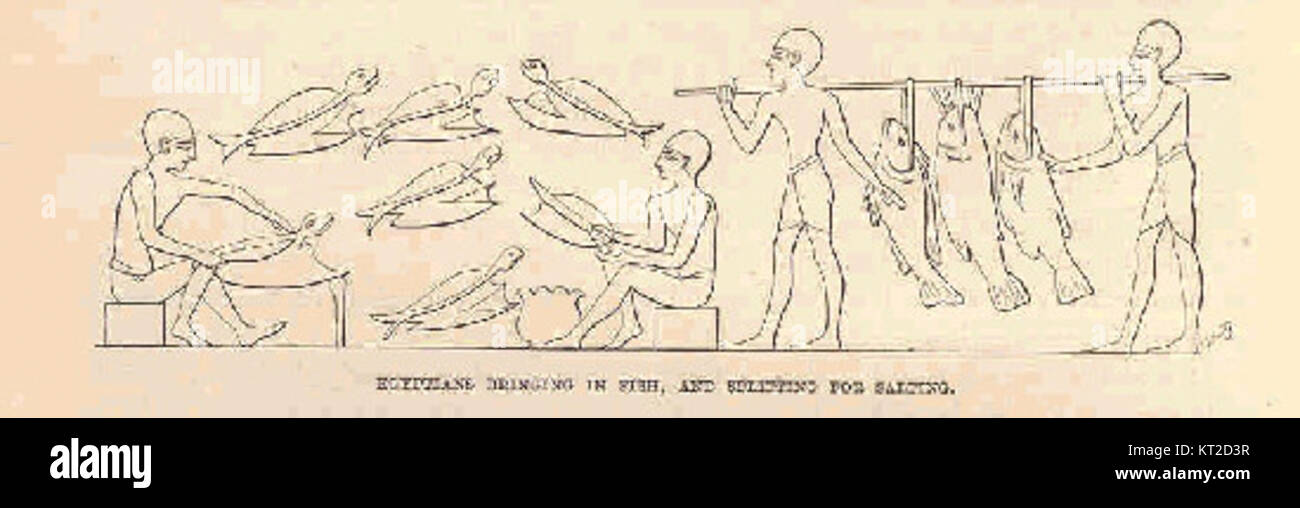 Cette œuvre représente une scène égyptienne antique où des individus apportent des poissons et les préparent pour le salage. Il donne un aperçu de la vie quotidienne et des méthodes de conservation des aliments utilisées dans l'Egypte ancienne. Banque D'Images