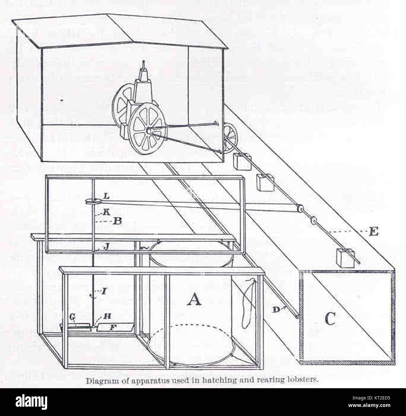 Ce diagramme illustre l'appareil utilisé pour l'éclosion et l'élevage du homard, en mettant en évidence l'équipement et les processus impliqués dans l'élevage du homard et l'aquaculture. Banque D'Images