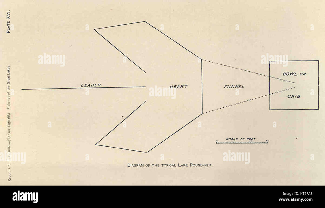 Cette image montre un diagramme illustrant la conception d'un livre-filet typique de lac. Le diagramme est un outil précieux pour comprendre la mécanique du piégeage du poisson, en particulier dans les environnements lacustres. Banque D'Images