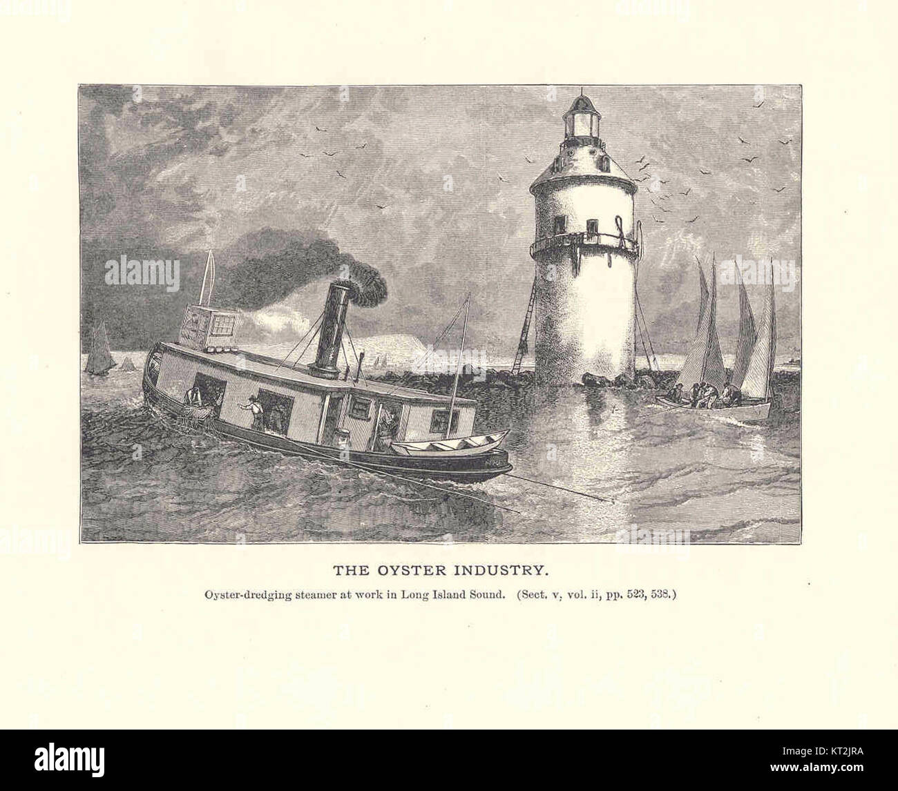 L'industrie huîtière, identifiée spécifiquement par le numéro 35899, représente un aspect important de l'agriculture marine et de la production d'huîtres. Cela inclut les pratiques agricoles, les méthodes de récolte et l'impact économique sur les communautés côtières. Banque D'Images